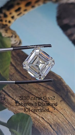 21.30 Carat Asscher Cut Diamond ✨ Hall Of Mirrors Effect 💎