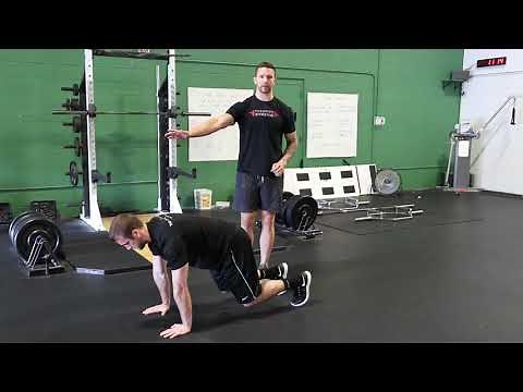 How To Perform The Reverse Bear Crawl