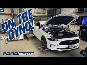 2018-2022 Mustang GT Steeda ProFlow Cold Air Intake Installation With Steeda Custom Tuning