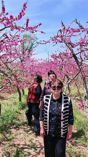看俺重量级四姐妹齐上阵，桃花园里找玉芬……#开心姐妹快乐多