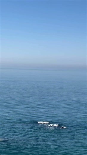 May Spirit guide you 💓 Blessings for today💟