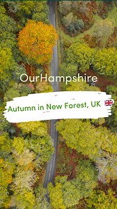 10K views · 310 reactions | The New Forest National Park is one of our favourite places in the UK to visit in the Autumn  We love getting our boots on for a long walk or heading out for a cycle on the 140 miles of tracks and footpaths it offers.  Top tip - download the free ‘new Forest walks’ app for ideas on routes #hampshire #hampshirestays #newforest #thenewforest #newforestpony #newforestnationalpark #newforestlife | Our Hampshire and beyond | Facebook