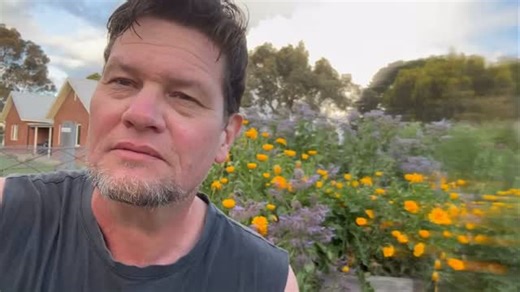 ✌️ integrity matters, and greenwashing is another fact of consumer and corporate life which tricks the unaware … One of the things that gets up our collective noses here is misrepresenting a Thing. Misrepresenting something is akin to a lie, and there are no degrees of honesty. We don’t do that. For better or worse, we tell the truth, and we’ve always taken our lumps, and copped it on the chin. Seed & Sprout, operating out of Byron Bay, advertises that their products are ‘green’, but they’re not