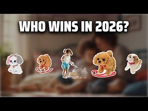 The Top 5 Best Toy Dogs in 2026 - Must Watch Before Buying!