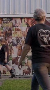 Spend time with this unique and heartwarming horse rescue. 🐴 ❤️ This Old Horse is a community dedicated to providing a dignified retirement for aging and neglected horses. This is a charming tale of love, compassion, and second chances for horses that have found a forever home filled with love and respect. Cozy up and watch This Old Horse only on Ride TV. 🛋️ | Ride TV