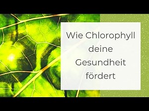 Wie Chlorophyll deine Gesundheit fördert | Maweju Vidaphyll Erfahrung