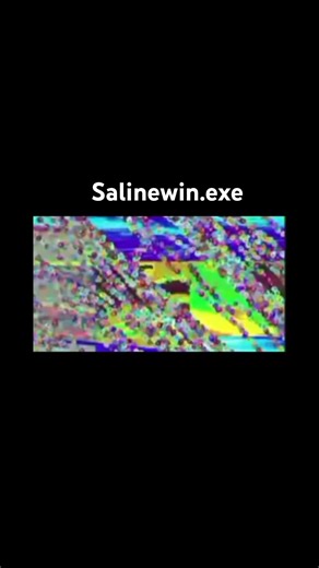 Salinewin.exe on windows xp
