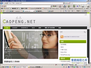 2.14 优化WORDPRESS URL网址 - 曹鹏WordPress