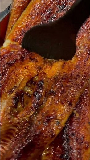 名古屋食探訪 愛知でうなぎ食べてみて😷【うな匠 名古屋旨いもん処】26.4