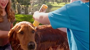 Burt's Bees for Dogs Soothing Hot Spot Shampoo with Apple Cider Vinegar & Aloe Vera | Itch Relieving Hot Spot Remedy | Cruelty Free, Sulfate & Paraben Free, pH Balanced for Dogs - 16 Oz 2 Pack