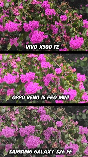 The Best Phone Vivo X300 Fe Vs OPPO Reno 15 Pro mini vs Samsung Galaxy S26 Fe Photography Test