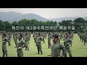Korean Special Forces Tae Kwon Do Demo