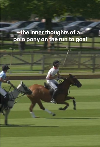 When the turbo kicks in 🏎️💨 #polo #polopony #pololife #polotok
