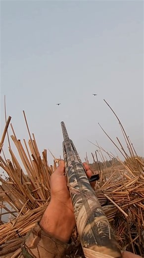These shots are from 15 + years ago when I got my first GoPro ! #duckhunting #hunting #waterfowl