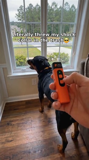 Comment QUIET if you need it