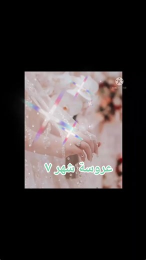 Elegant Wedding Ring Displays and Lace Dress Showcase