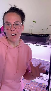 13K views · 235 reactions | Nestled in the heart of Japan, the...