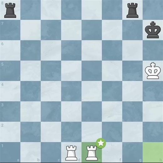When Your Rook Makes the Wrong Move — Funny Chess Meme