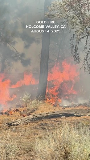 Update on Gold Fire Near Big Bear Lake