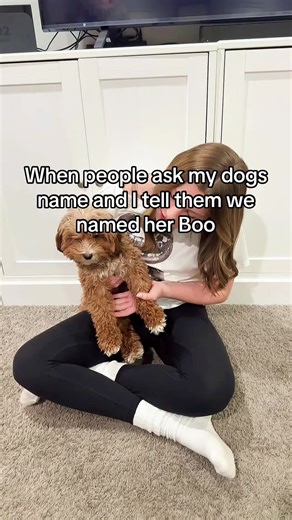 amy jean wilde (@amyjeanwilde)’s videos with original sound - qv