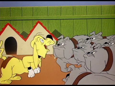Dog Pounded (1954)🐈🦮