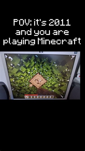 POV: it's 2011 and you are playing Minecraft Beta. #minecraftbeta #nostalgia #2011 #fyp #shorts