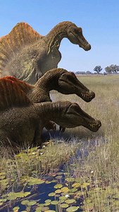 81K views · 2K reactions | Spinosaurus was one of the largest...