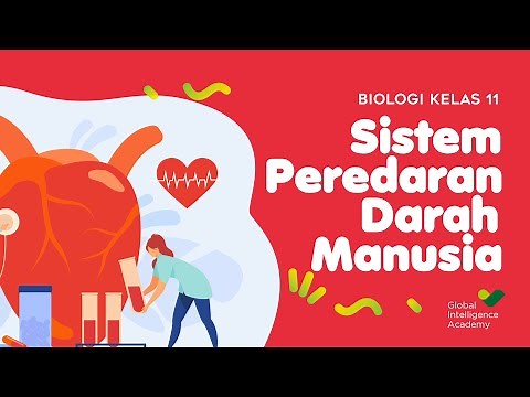 BIOLOGY Grade 11 - Circulatory System (PART 2) | GIA Academy