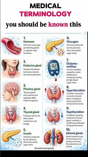 🧠✨ Understanding the Endocrine System made simple#EndocrineSystem #Hormones #NursingStudent #Medicl