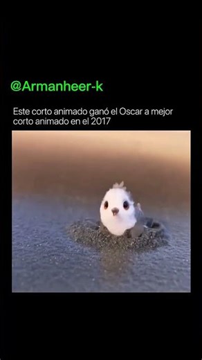 .Piper es un cortometraje