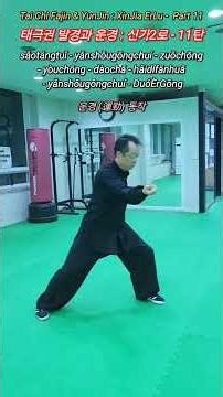 Tai Chi Fajin & YunJin : XinJia ErLu - Part 11: Form 40 : sǎotángtuǐ ~ Form 47 : DuóÈrGōng