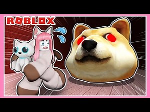 巨大な犬の顔が襲ってくる！?子猫を無事に救い出せ💨💦【ロブロックス / Roblox】【たまちゃん】