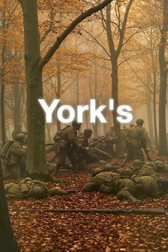 The Soldier Who Captured 132 Enemies ALONE In World War 1