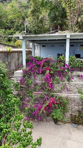 Exploring Timor-Leste on TikTok