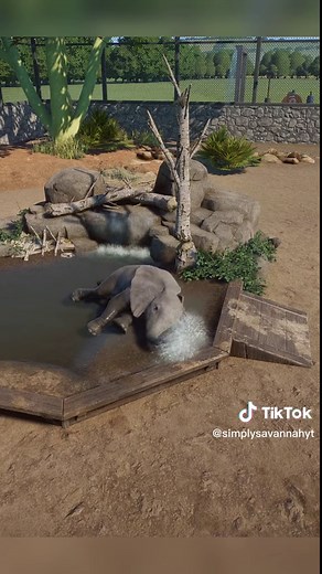 Baby Elephants Playing in Beaver Dam Enrichment in Planet Zoo