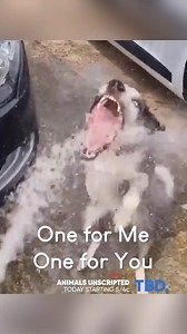 Me trying to chug water in bed at 4am  | Watch Roar | Facebook