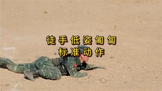 徒手低姿匍匐标准动作