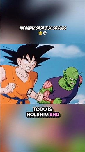The Raditz Saga in 30 Seconds | DBZ Parody