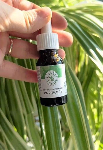 Connais-tu les bienfaits de la propolis? 🐝 - Renforcement des défenses, Protection, Apaisement des inflammations,Système ORL, Hygiène buccale. Et pour toute la famille. La propolis est un couteau suisse ! 🐝😍 #propolis #naturel #magie #pleineforme #orl #apaisement #inflammation #renforcement #defensesdelorganisme #ruche #abeilles #pourtoii #bestseller #famille #enfants
