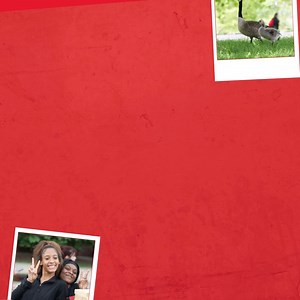 Visiting campus is the best way to see what it's like to be a Cougar. Join us on campus and see why nearly 13,000 students call SIUE home. siue.edu/visit | Southern Illinois University Edwardsville