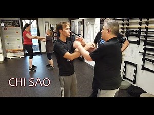 Wing Chun | Sticking & Splitting Power | Chi Sau