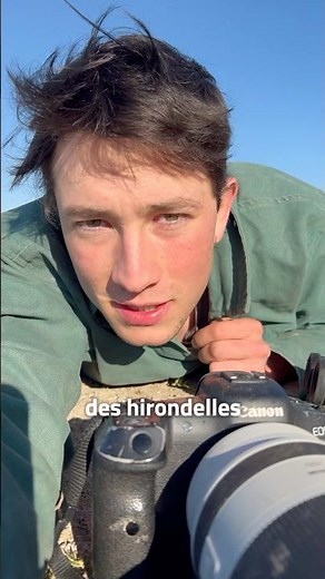 Voilà comment aider les hirondelles ! #animaux #hirondelle #nature #jardin #oiseaux