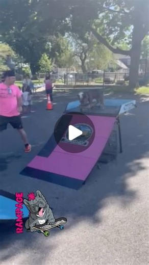 Skate Dawg on Instagram: "Let’s run this back. Rampy loves all the boys and girls ❤️❤️❤️"