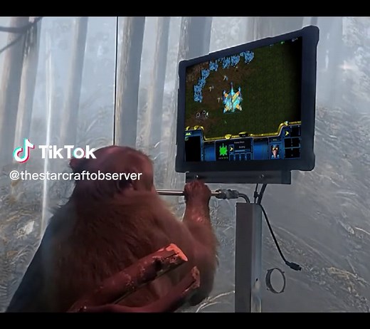 Neuralink Gaming Challenge: Pager vs. Starcraft Brood War | Artosis Approval