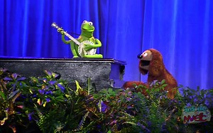 【D23】2011·Kermit and Rowlf sing Rainbow Connection