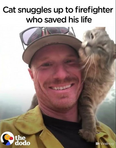 Cat Is So Grateful Firefighter Saved His Life | The Dodo