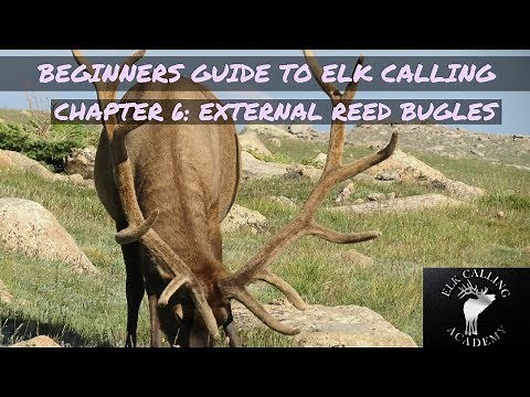 External Reed Bugles | Chapter 6 - Beginners Guide to Elk Calling