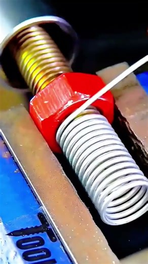 Bolt and spring assembly