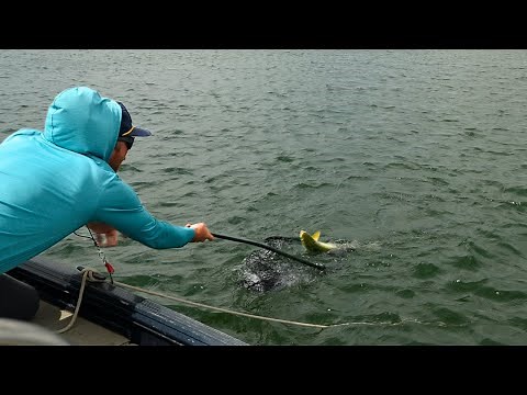 Spinney Mountain Reservoir Fishing Report | July 2025 | Conditions, Tips & Best flies to use!