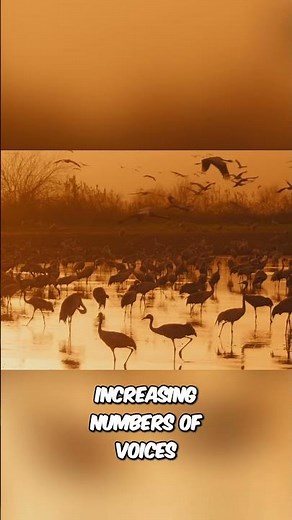 Are We Entering a New Earth Epoch Humanity’s Impact Explained
